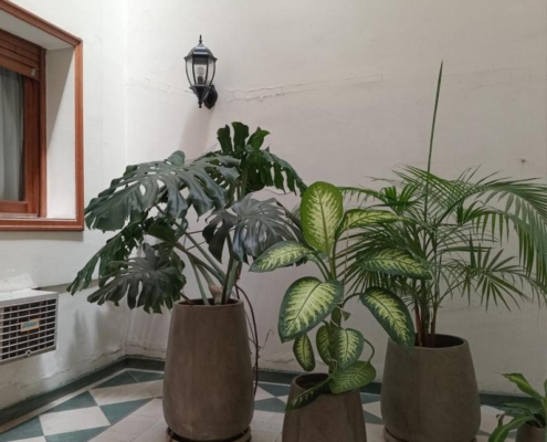 decoracion