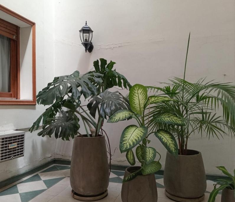 decoracion